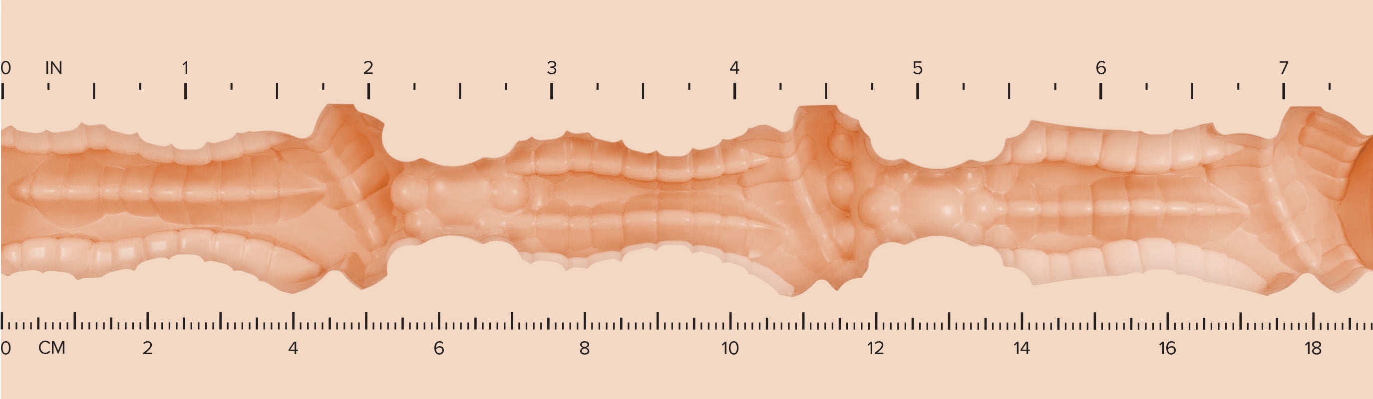 Butt_Texture-Ruler-H-BlakeBlos.jpg
