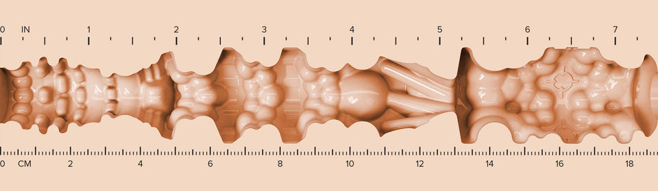 Mia-Mouth-Texture-Ruler.jpg